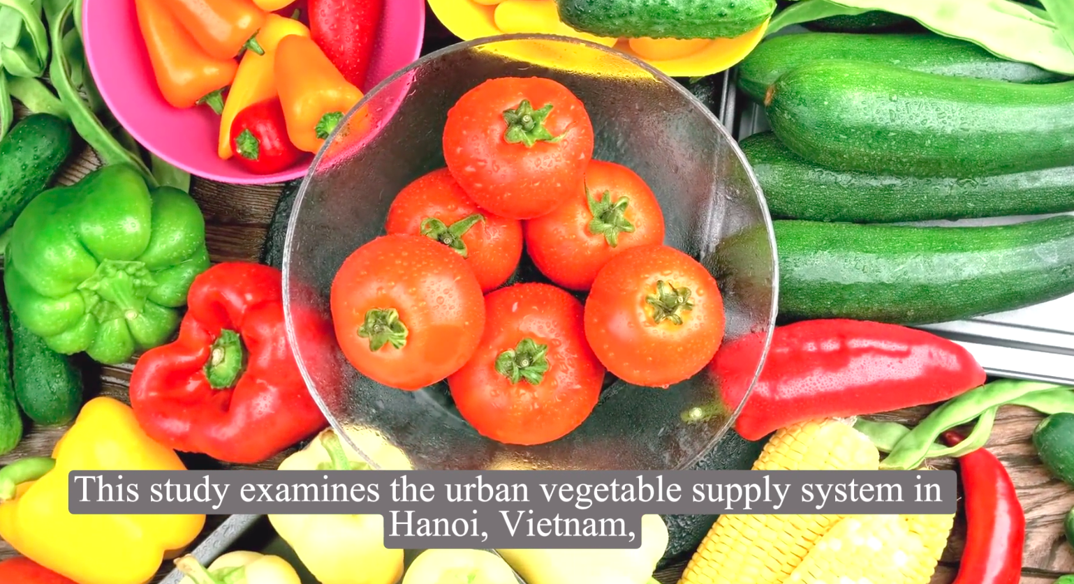 Anatomy of an Urban Food Supply in the Global South&mdash;The Case
of Vegetable Supply to Hanoi City
